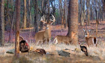 Obituary of Milo Kevin Clarence Carr