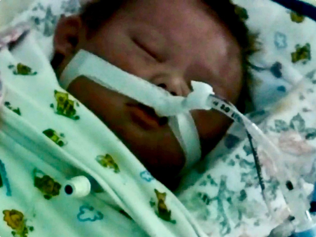 Obituary of Ariya Lee Jaramillo
