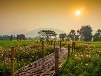 Obituary of David B Hawkins