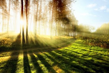 Obituary of Marilyn Violet Miller