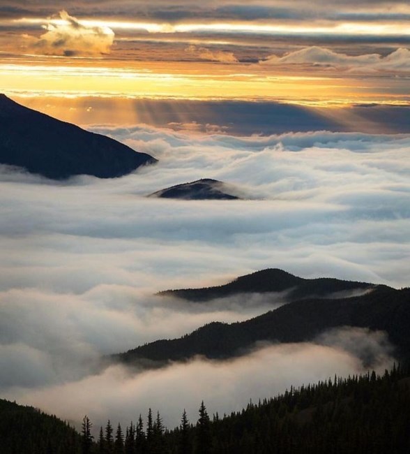 Obituary of Thomas Michael Reynolds