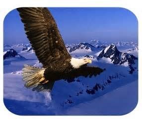 Obituary of Charles Lindburgh Harper