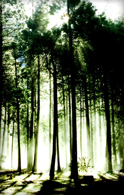 Obituary of Thomas H. Kelley