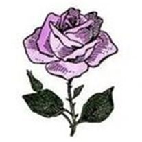 Obituary of Maureen Anne McKenna