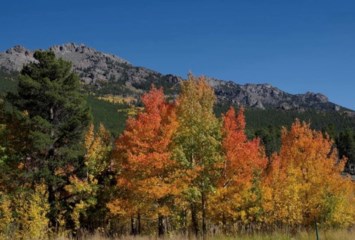 Obituary of Timothy Waddingham