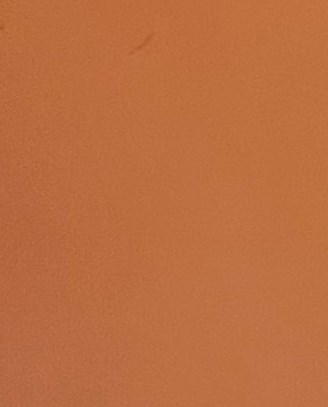 Randy Loper Obituary - Houston, TX