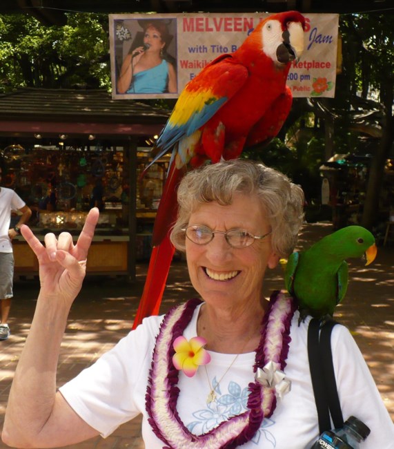 Obituary of Carol Gwendoline Krebs