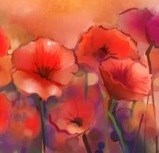 Obituary of Ada Houston Jackson