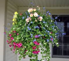 Obituary of Margaret Gwen HARP