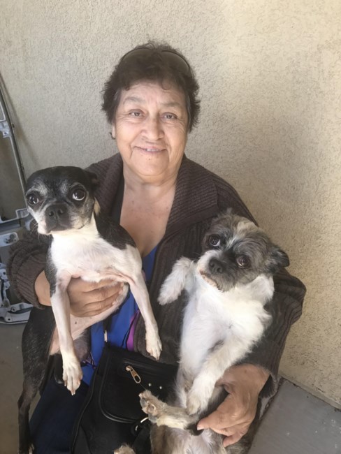 Obituario de Francisca Guzman