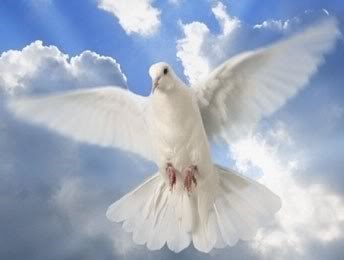 Obituary of Delfina Adelina Sierra