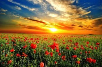 Obituary of Jeanette Louise Painter