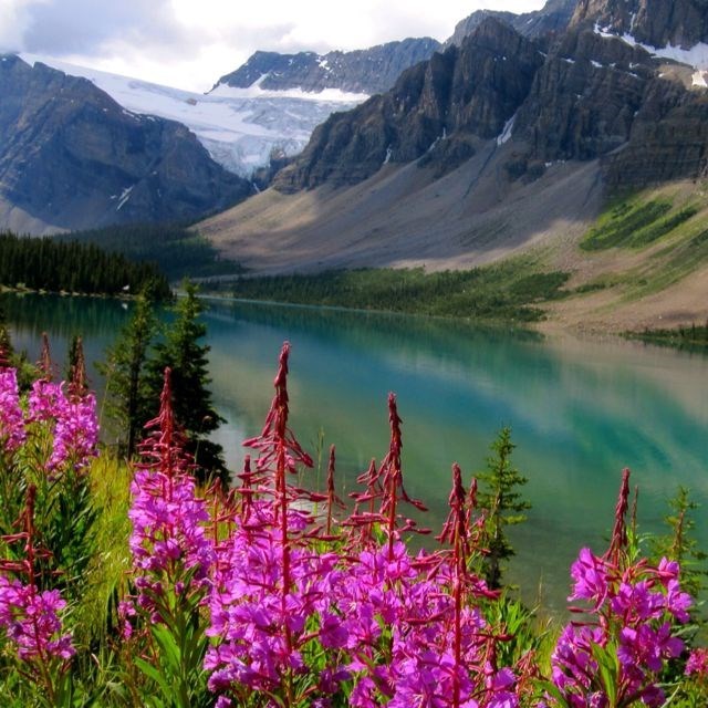 Obituary of Joanne Beth Scott