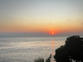 Obituary of John Louis Larsen