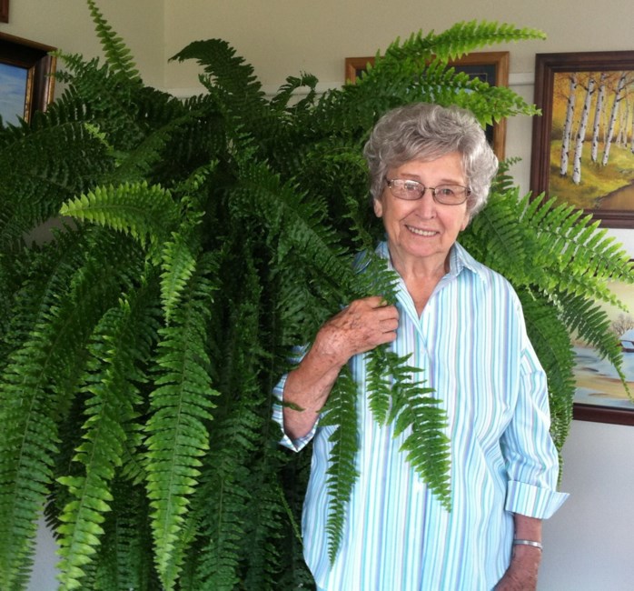 Obituario de Louise Webb