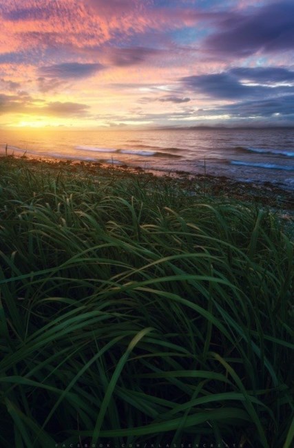 Obituario de Jeanette Elizabeth TERRY