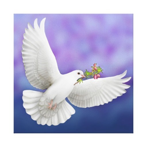 Obituary of Judith Jones Fetterhoff