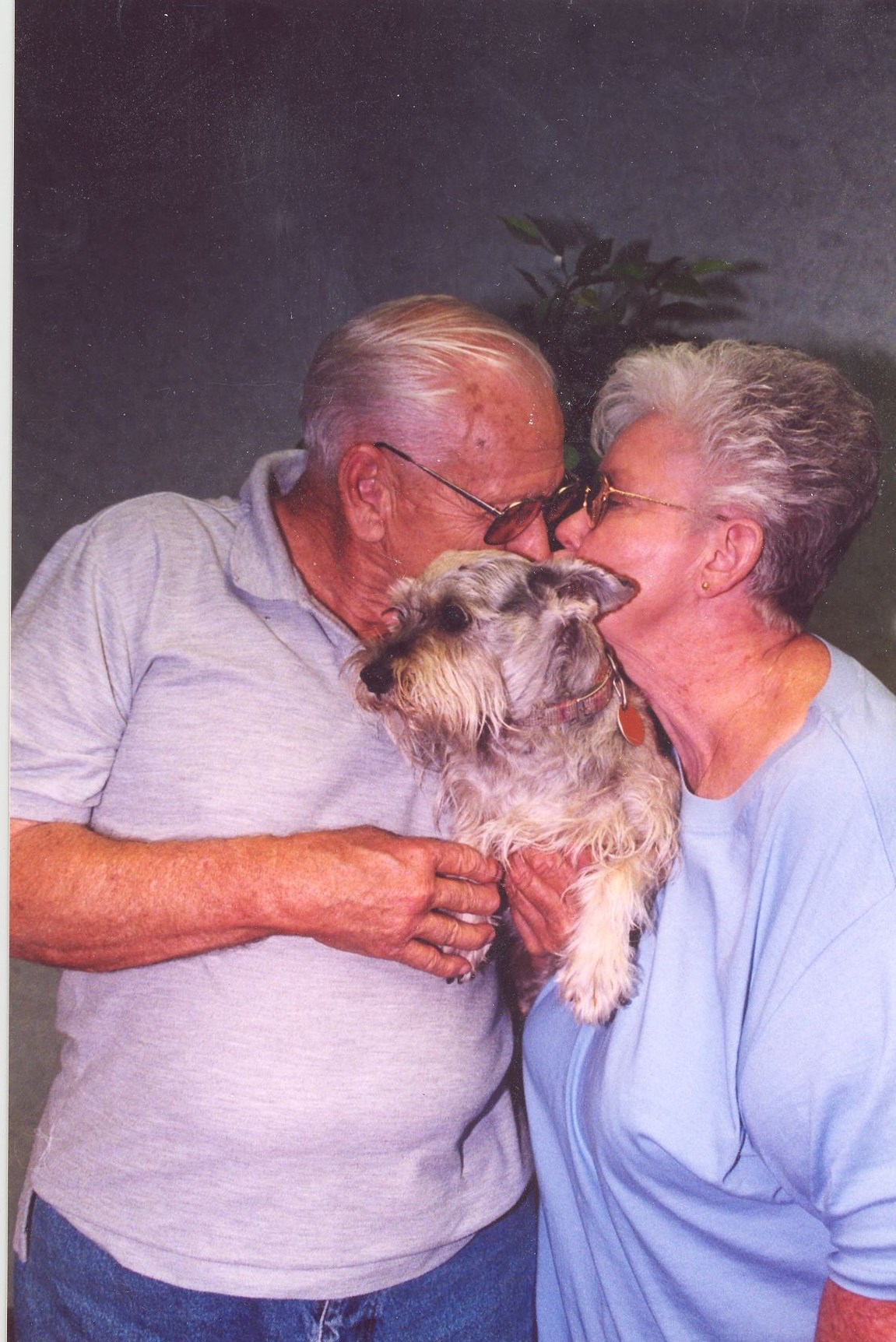 hazelwood pet cremation