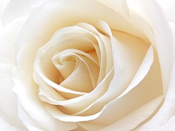 Obituary of Leona S. Skawinski