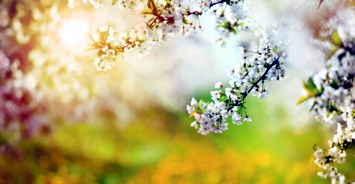 Obituary of Robert E Kamper