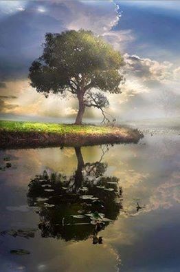 Obituary of Linda Russell