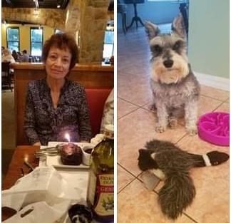 Obituary of Susan Monroe