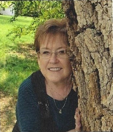 Obituary of Diana Lee Wills