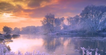 Obituary of George Jerome Fitzgerald