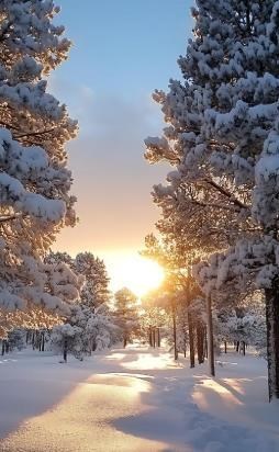 Obituary of Truman Paul Jennings