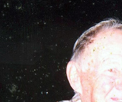 M Williams Obituary Tampa, FL
