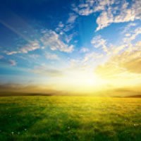 Obituary of William Cartee