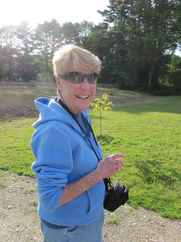 Obituary of Joanne Cook Soule