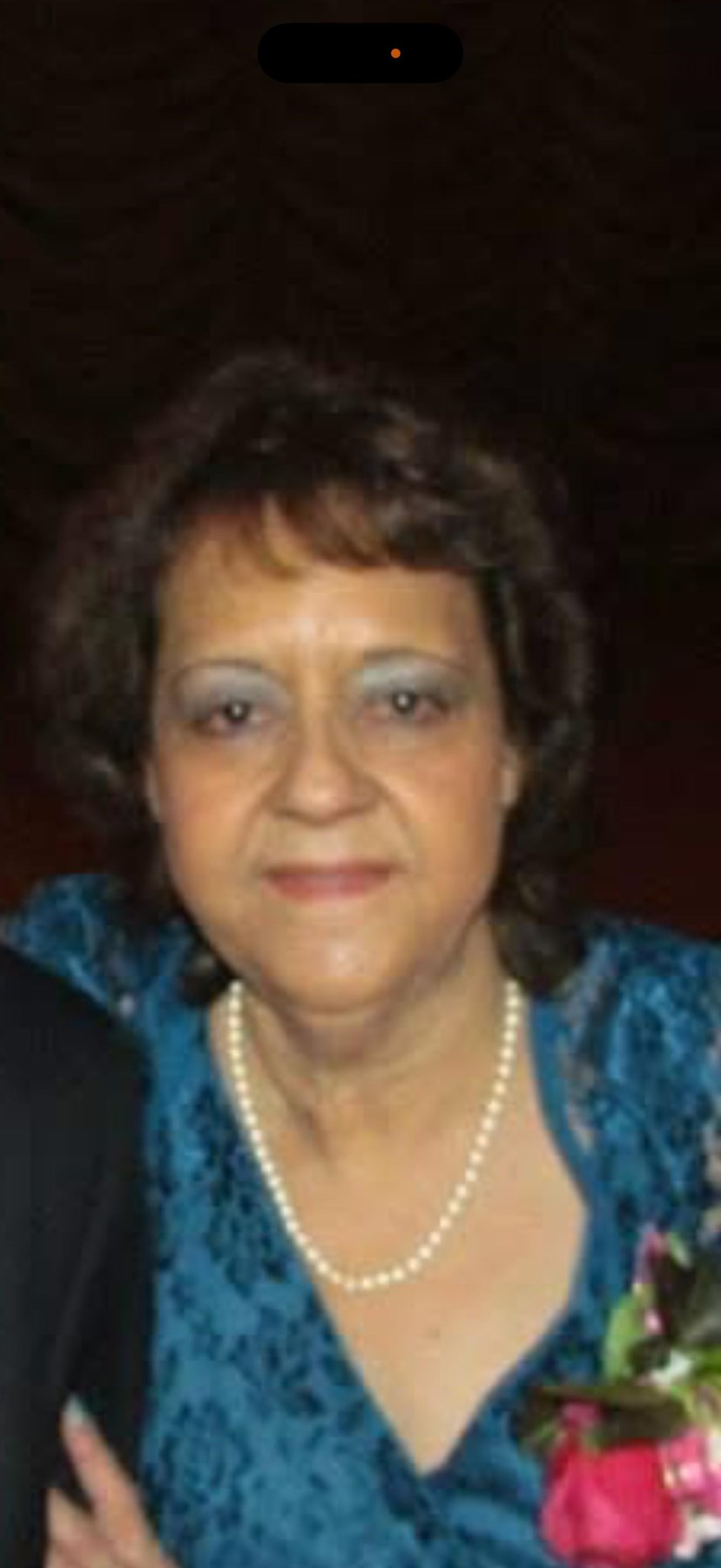 Obituary of Luz M. Diaz