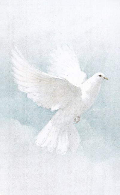 Obituary of Grace G. Braun