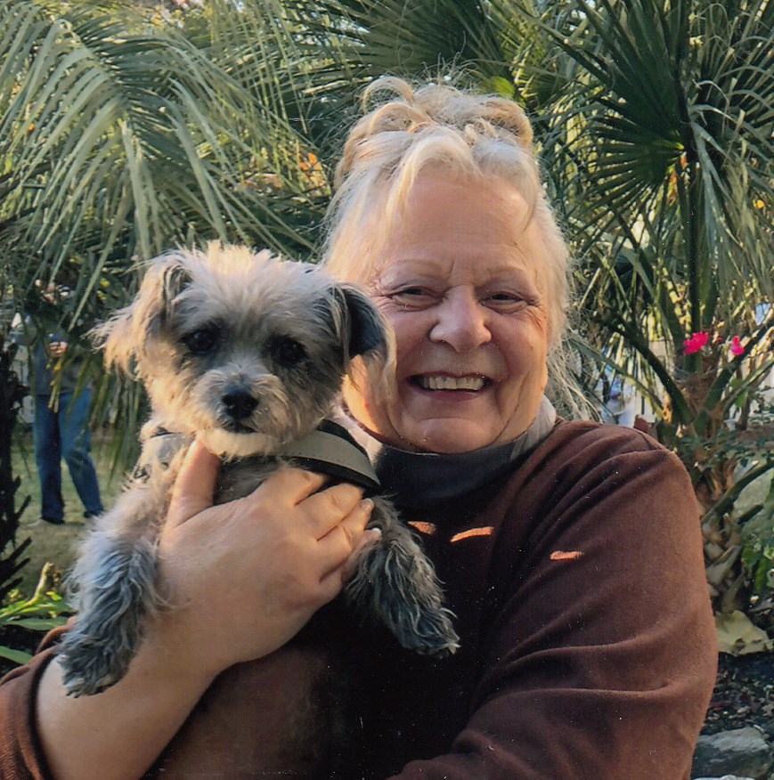 dog boarding new bern nc