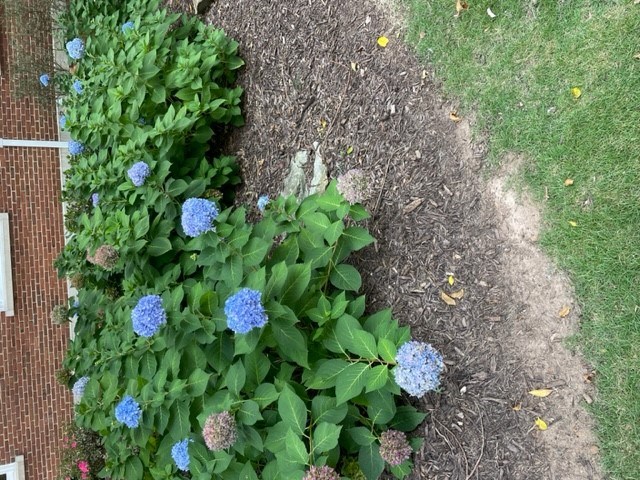 Obituary of Michael Perry