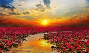 Obituary of Bethany Schklar