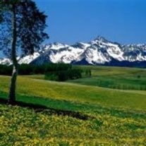 Obituary of Darlene Patricia Taylor