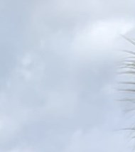 Stephen Romer Obituary - Cape Coral, FL