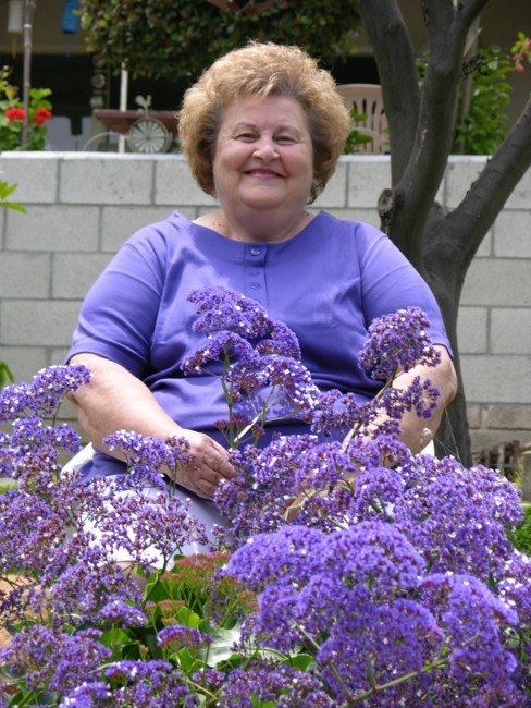 Obituary of Carol Ann Millward