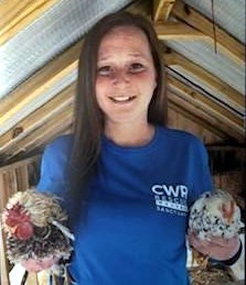 Obituary of Stephanie Parker