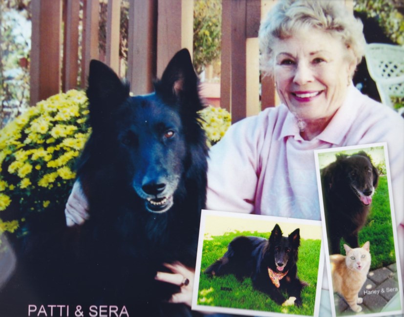 Obituary of Patricia Corinne Perrin