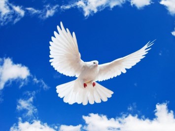 Obituary of Eddie Rodman