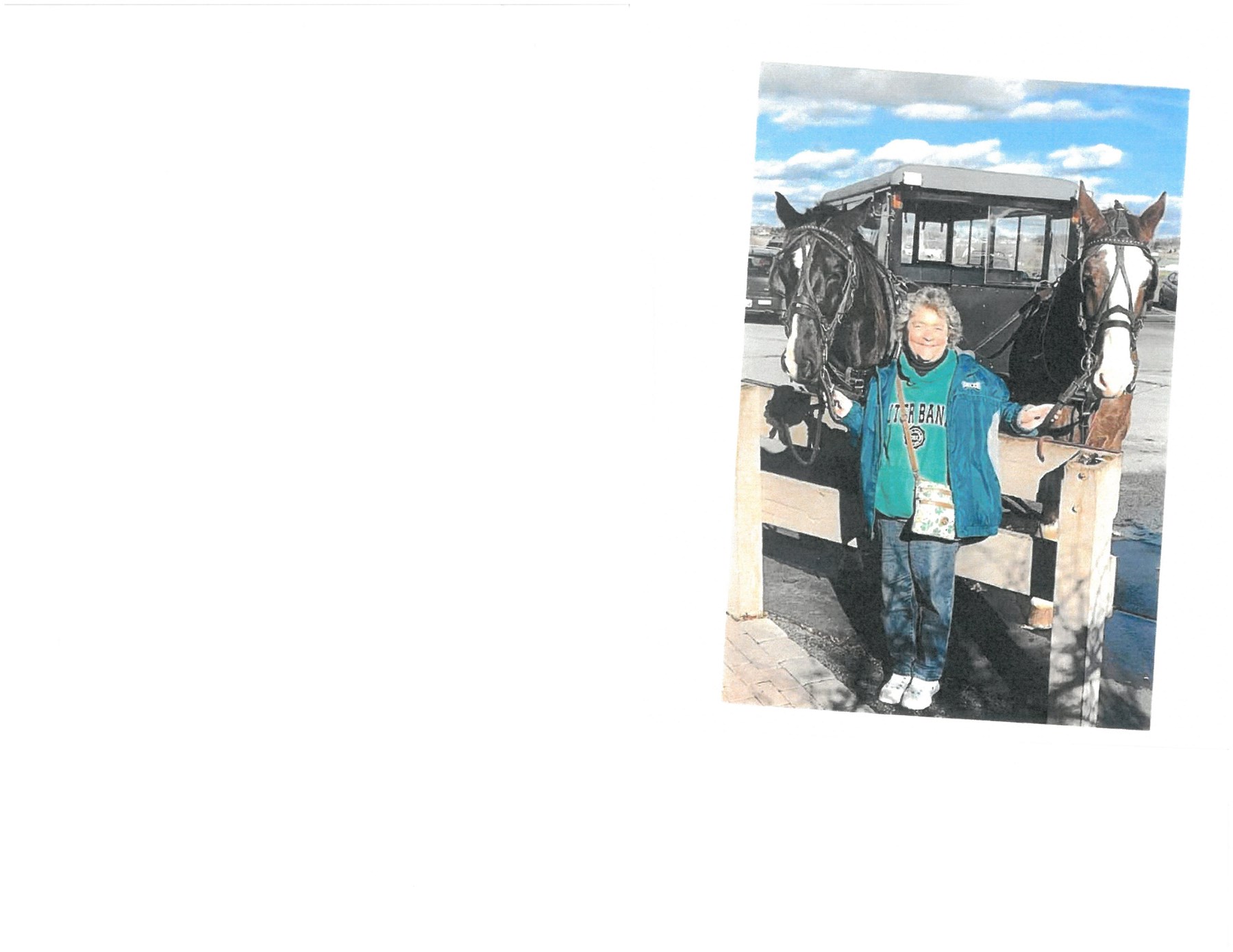 Obituario de Rose Ann Steele