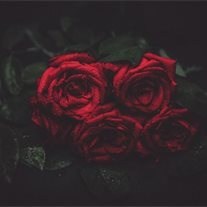 Obituary of Janet Marie Schmitt