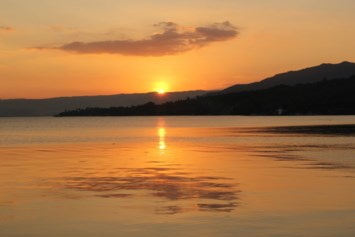 Obituary of Raymond Baumann