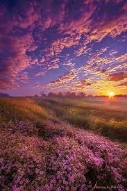 Obituario de Nai Liam Saefong