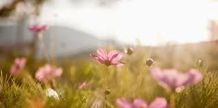 Obituario de Barbara J. Butler