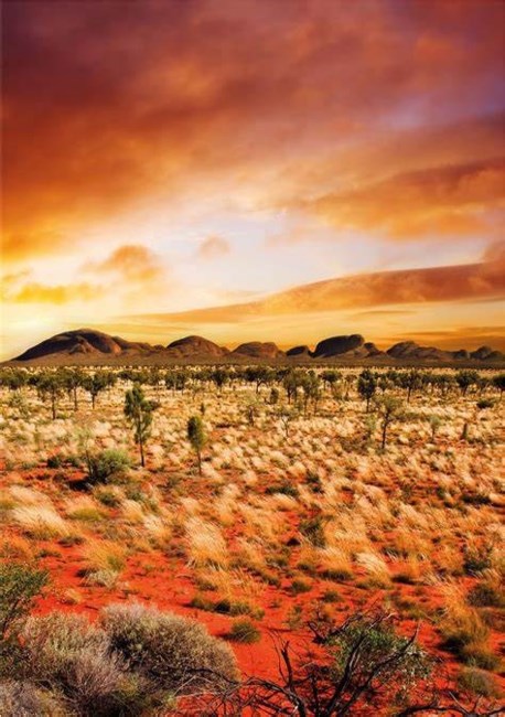 Obituary of John Gregory Houser