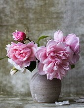 Obituary of Bonnie Lee Hanson